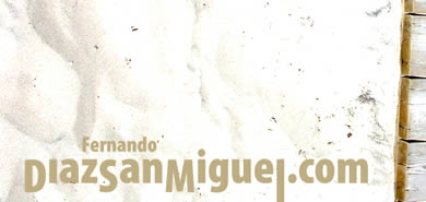 DiazSanMiguel.com